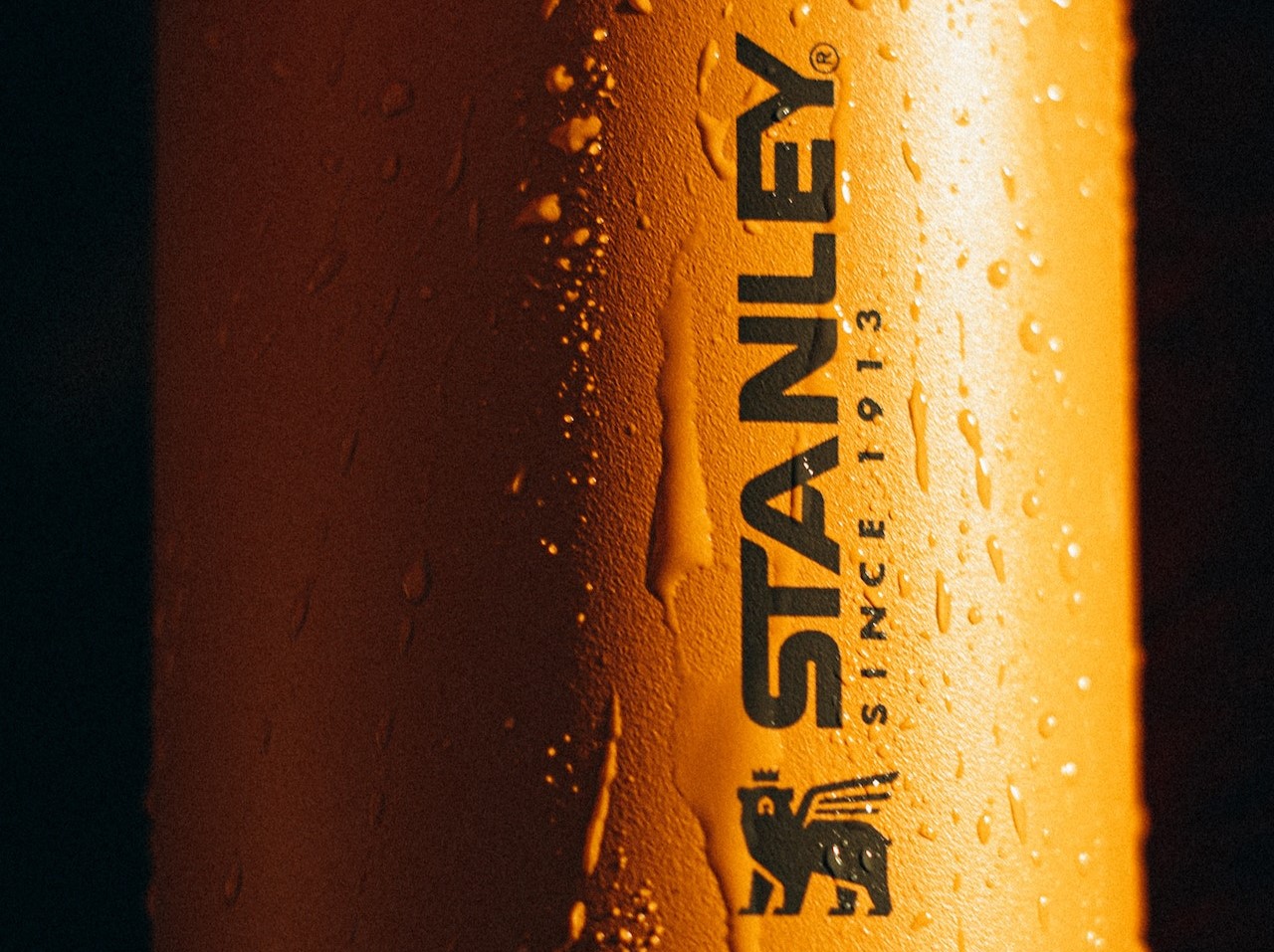 How Stanley 1913 Uses TikTok and Instagram to Build Brand Awareness and Drive Sales